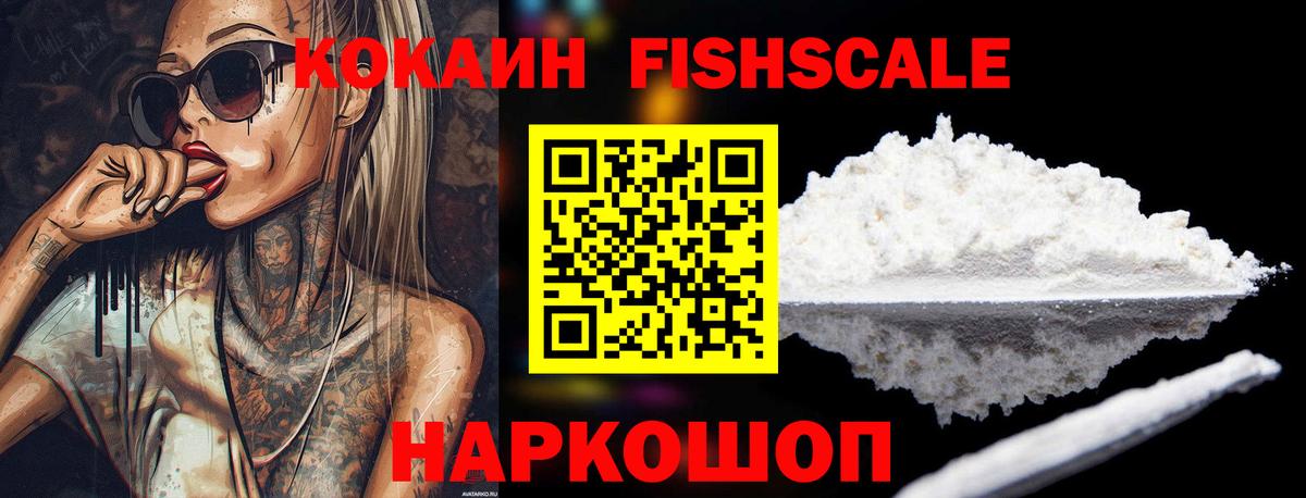 КОКАИН FishScale  Вход с VPN  где купить наркотик  COCAIN 98%  Находка 