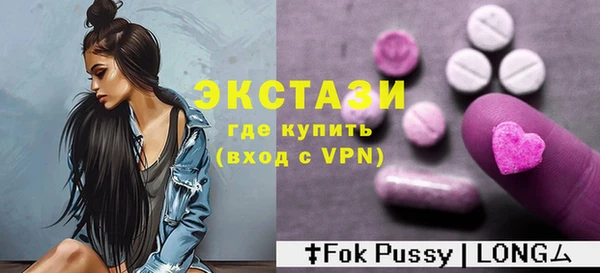 эйфоретик Гусь-Хрустальный