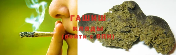 соль ск Дмитриев