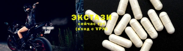 спиды Гусев