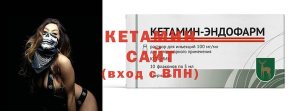 соль ск Дмитриев