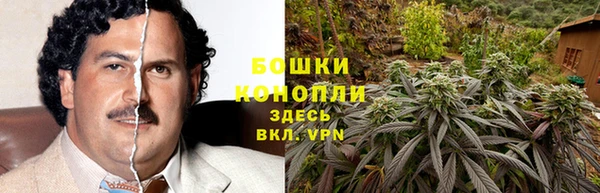 эйфоретик Гусь-Хрустальный