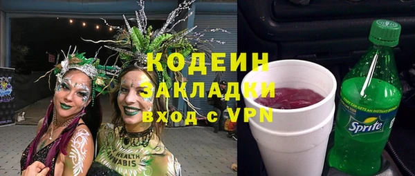 эйфоретик Гусь-Хрустальный