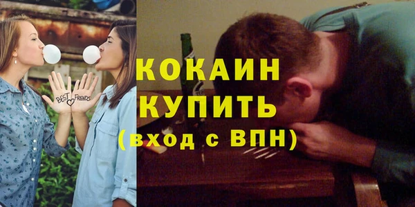 соль ск Дмитриев
