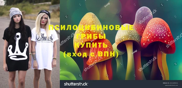 крисы Дмитров