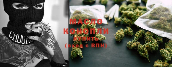 соль ск Дмитриев