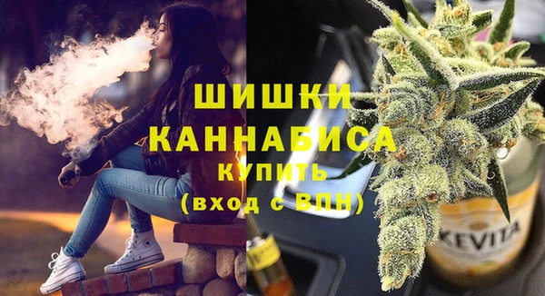 спиды Гусев