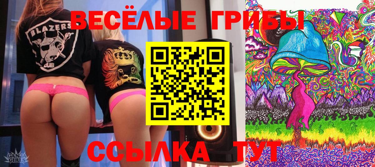 Галлюциногенные грибы Magic Shrooms  Галлюциногенные грибы Psilocybe  Находка  Вход с VPN 