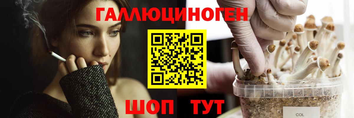 Галлюциногенные грибы Cubensis Находка